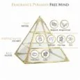 free mind perfume pyramid-min